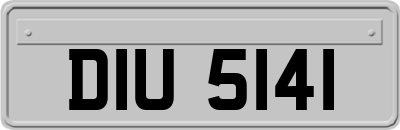 DIU5141