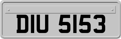 DIU5153