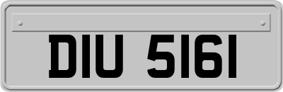 DIU5161