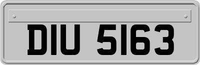 DIU5163