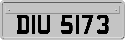 DIU5173