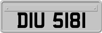 DIU5181