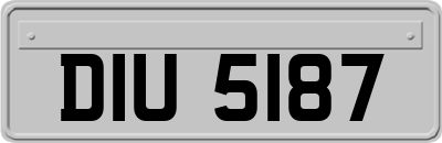 DIU5187