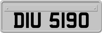 DIU5190