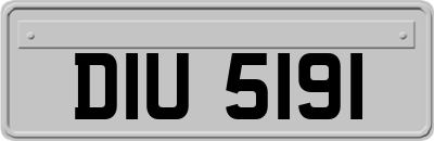 DIU5191