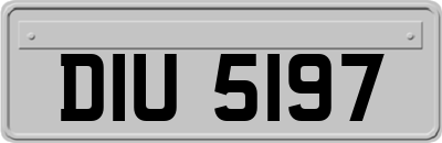 DIU5197