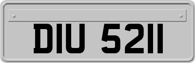 DIU5211