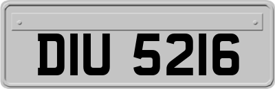 DIU5216