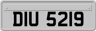 DIU5219