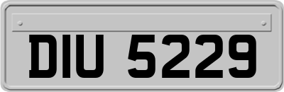 DIU5229