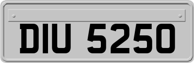 DIU5250