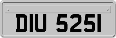 DIU5251