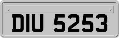 DIU5253