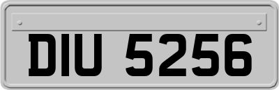 DIU5256