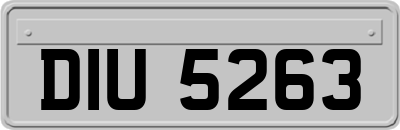 DIU5263