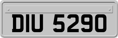 DIU5290