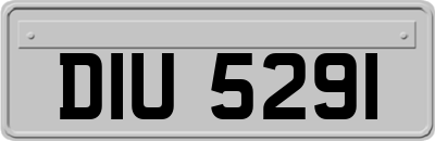 DIU5291