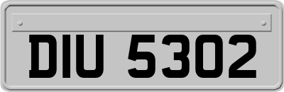 DIU5302