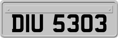 DIU5303