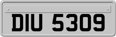 DIU5309