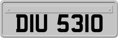 DIU5310