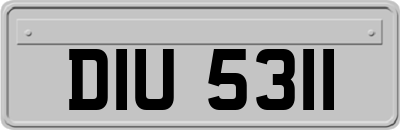 DIU5311