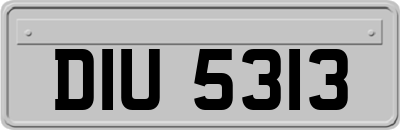 DIU5313