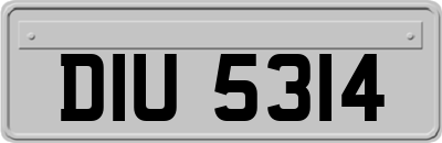 DIU5314