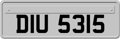 DIU5315