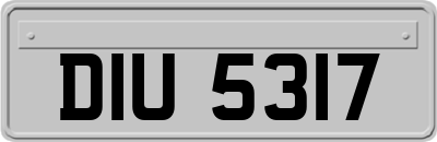 DIU5317
