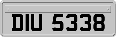 DIU5338
