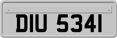DIU5341