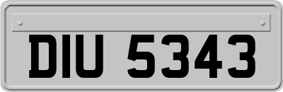 DIU5343