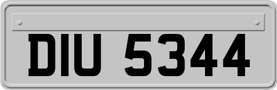 DIU5344