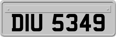 DIU5349