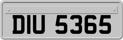 DIU5365