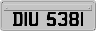 DIU5381