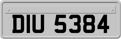 DIU5384