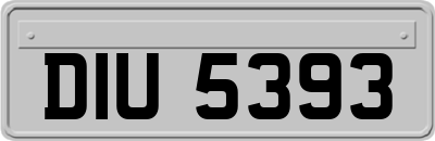 DIU5393
