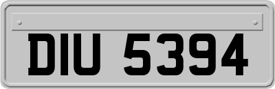 DIU5394