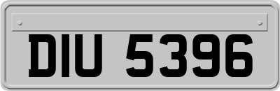 DIU5396