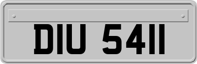 DIU5411