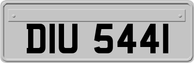 DIU5441