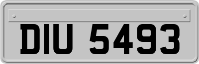 DIU5493