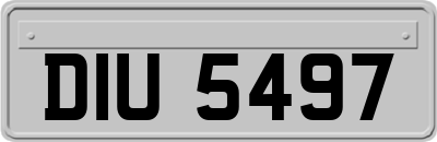 DIU5497