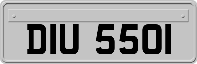 DIU5501