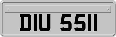 DIU5511