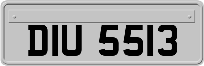 DIU5513
