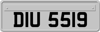 DIU5519