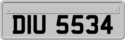 DIU5534